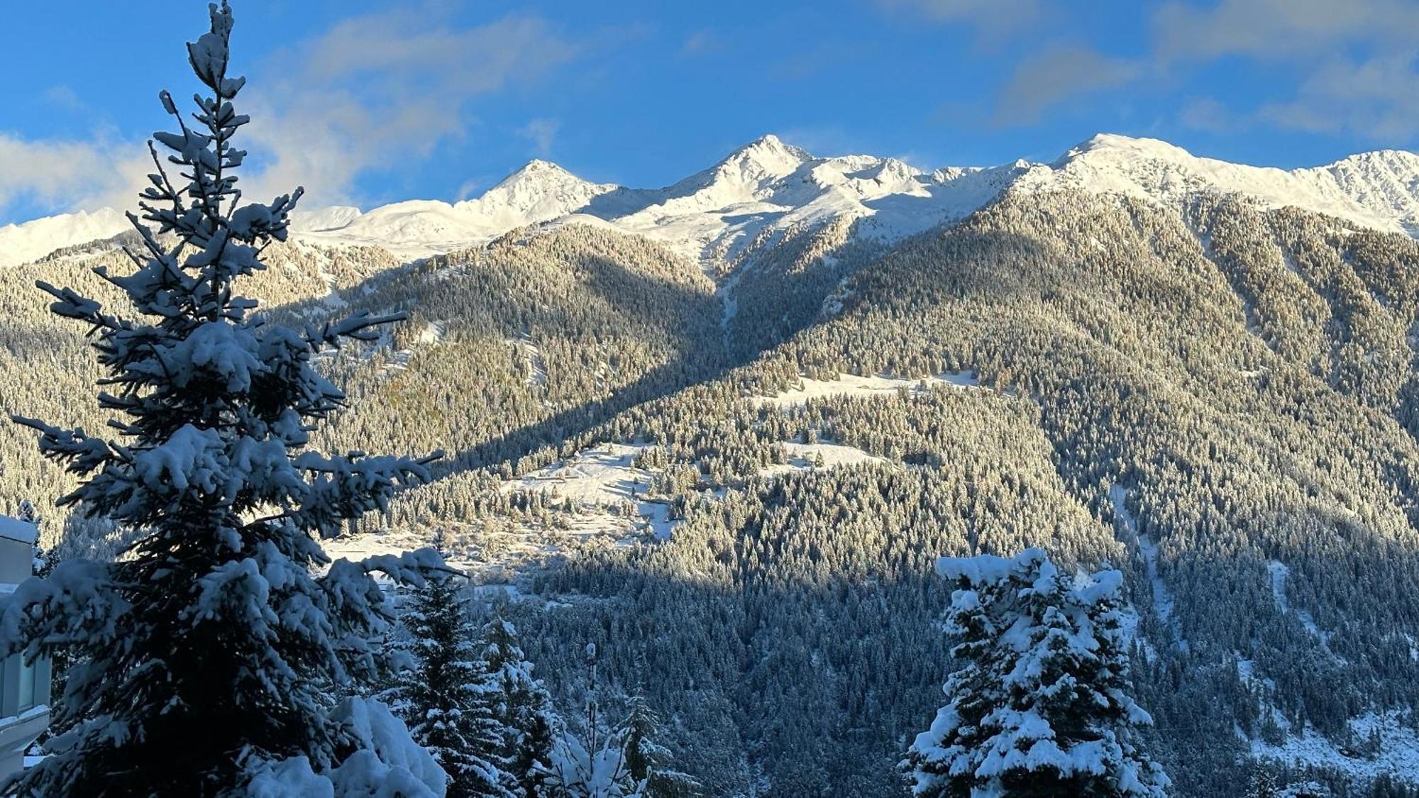 Bellavista Marilleva 1400 - Val Di Sole 아파트 외부 사진